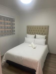 splice-riviera-8 Dream Abodes @ Splice Riviera | Riviera, Johannesburg